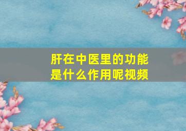 肝在中医里的功能是什么作用呢视频