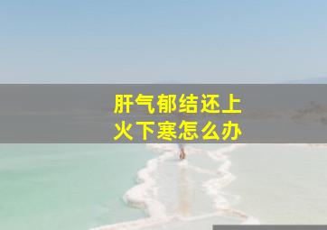 肝气郁结还上火下寒怎么办