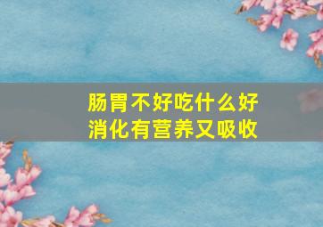 肠胃不好吃什么好消化有营养又吸收