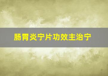 肠胃炎宁片功效主治宁