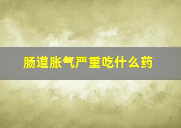 肠道胀气严重吃什么药