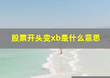 股票开头变xb是什么意思