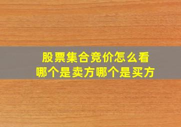 股票集合竞价怎么看哪个是卖方哪个是买方