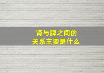 肾与脾之间的关系主要是什么