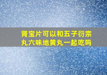 肾宝片可以和五子衍宗丸六味地黄丸一起吃吗