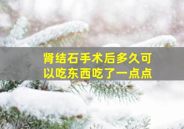 肾结石手术后多久可以吃东西吃了一点点