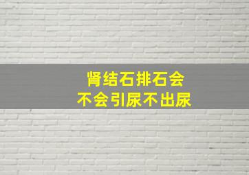 肾结石排石会不会引尿不出尿