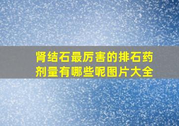 肾结石最厉害的排石药剂量有哪些呢图片大全