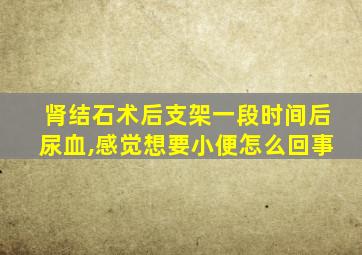 肾结石术后支架一段时间后尿血,感觉想要小便怎么回事