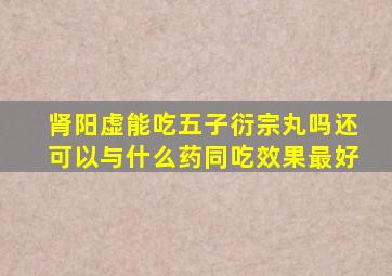 肾阳虚能吃五子衍宗丸吗还可以与什么药同吃效果最好