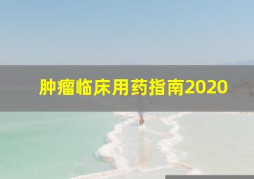 肿瘤临床用药指南2020