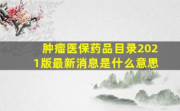 肿瘤医保药品目录2021版最新消息是什么意思