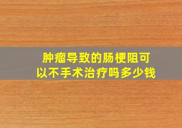 肿瘤导致的肠梗阻可以不手术治疗吗多少钱