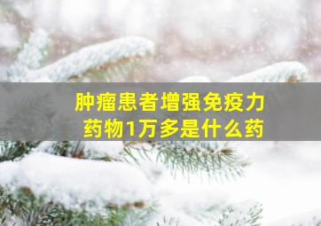 肿瘤患者增强免疫力药物1万多是什么药