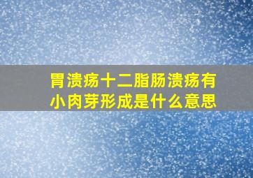 胃溃疡十二脂肠溃疡有小肉芽形成是什么意思