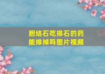 胆结石吃排石的药能排掉吗图片视频