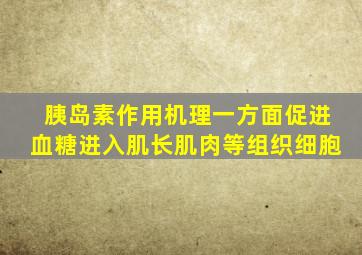 胰岛素作用机理一方面促进血糖进入肌长肌肉等组织细胞