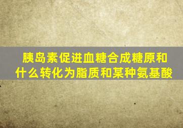 胰岛素促进血糖合成糖原和什么转化为脂质和某种氨基酸