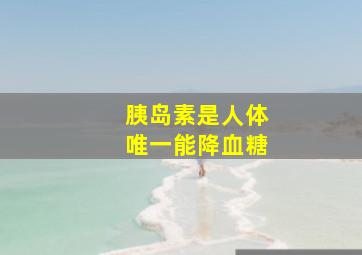 胰岛素是人体唯一能降血糖