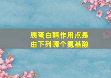 胰蛋白酶作用点是由下列哪个氨基酸