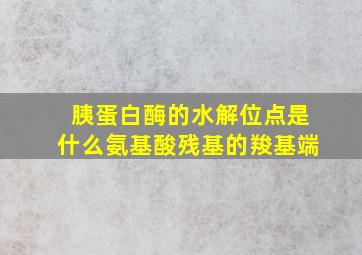 胰蛋白酶的水解位点是什么氨基酸残基的羧基端