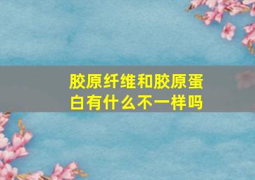 胶原纤维和胶原蛋白有什么不一样吗