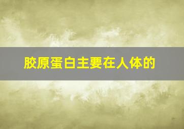 胶原蛋白主要在人体的