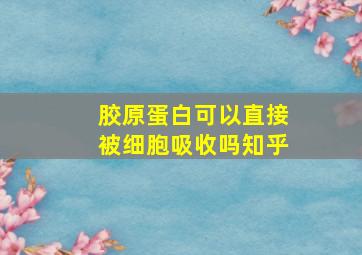 胶原蛋白可以直接被细胞吸收吗知乎