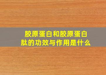 胶原蛋白和胶原蛋白肽的功效与作用是什么