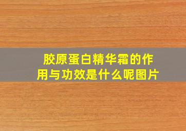 胶原蛋白精华霜的作用与功效是什么呢图片