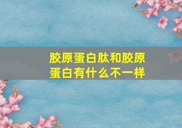 胶原蛋白肽和胶原蛋白有什么不一样