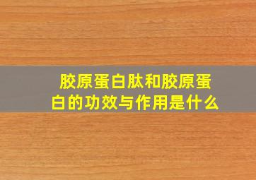 胶原蛋白肽和胶原蛋白的功效与作用是什么