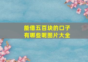 能借五百块的口子有哪些呢图片大全