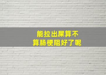 能拉出屎算不算肠梗阻好了呢