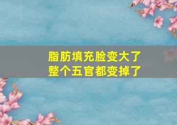 脂肪填充脸变大了整个五官都变掉了