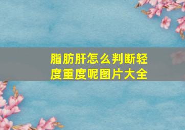 脂肪肝怎么判断轻度重度呢图片大全