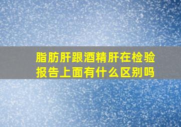 脂肪肝跟酒精肝在检验报告上面有什么区别吗