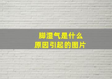 脚湿气是什么原因引起的图片