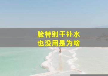 脸特别干补水也没用是为啥