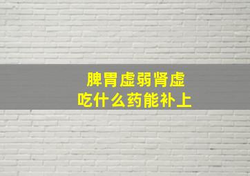 脾胃虚弱肾虚吃什么药能补上