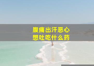 腹痛出汗恶心想吐吃什么药