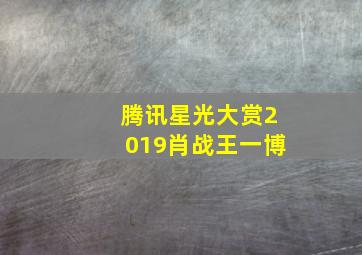 腾讯星光大赏2019肖战王一博