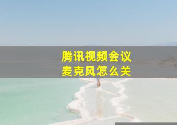 腾讯视频会议麦克风怎么关