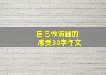 自己做汤圆的感受30字作文