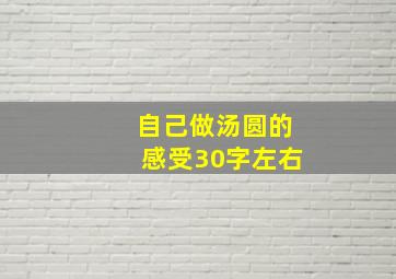 自己做汤圆的感受30字左右