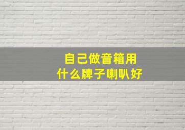 自己做音箱用什么牌子喇叭好