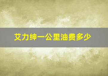 艾力绅一公里油费多少