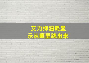 艾力绅油耗显示从哪里跳出来