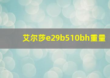 艾尔莎e29b510bh重量