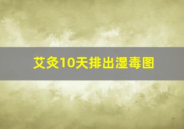 艾灸10天排出湿毒图